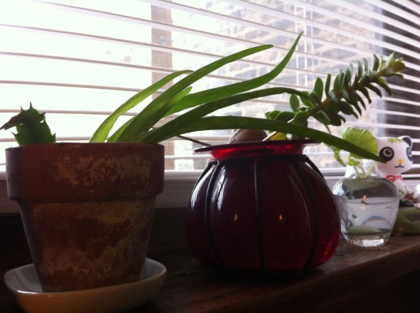 windowsill