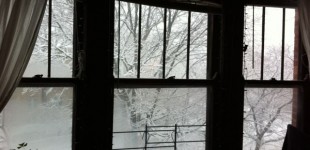 07_snowy