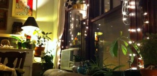 12_cozy